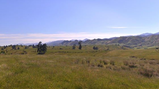 4000544_3.jpg