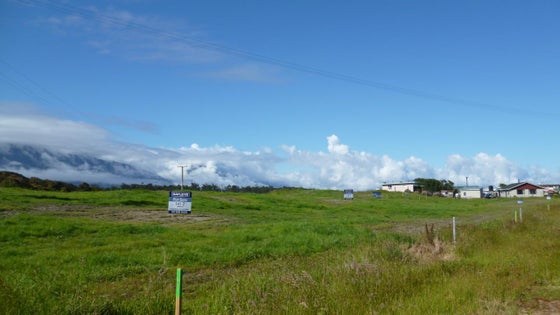 4001273_2.jpg