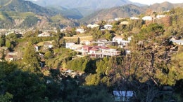 4002599_1.jpg