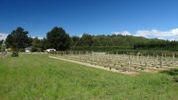 4020089_1.jpg