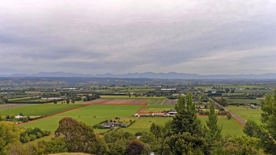 4020105_2.jpg