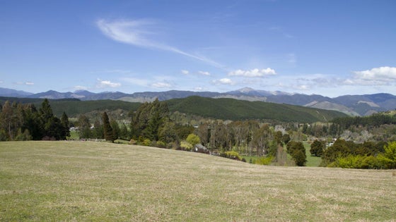 4020398_3.jpg