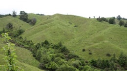 4020543_1.jpg
