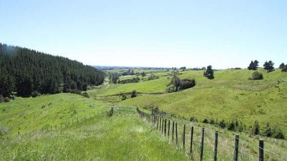 4020543_3.jpg