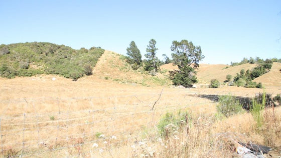 4020568_3.jpg