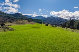 4020990_1.jpg