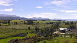 4050010_1.jpg