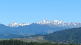 4050301_1.jpg