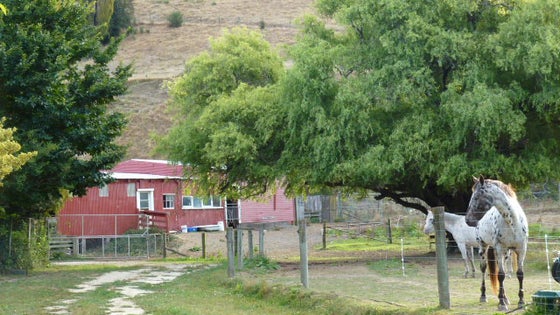 4050361_2.jpg