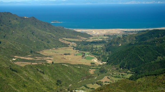 4050436_3.jpg