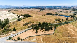 4051584_1.jpg