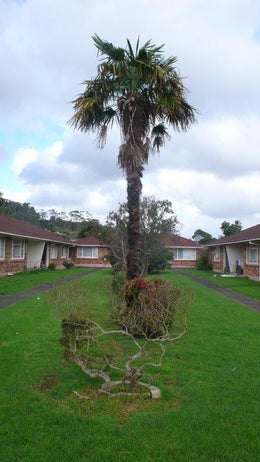 4100780_1.jpg
