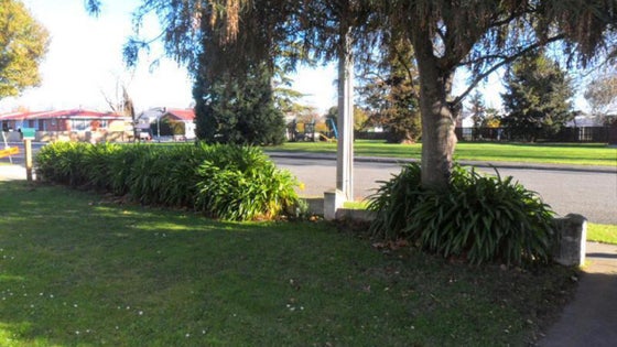 4101905_2.jpg