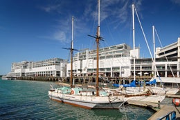 4102071_1.jpg