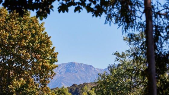 4104453_3.jpg