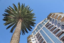 4105145_1.jpg