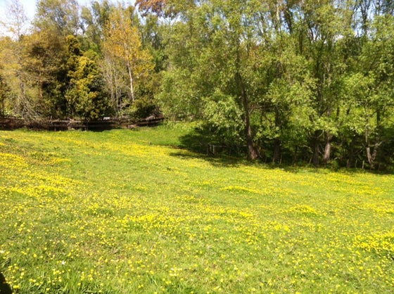 4105891_2.jpg