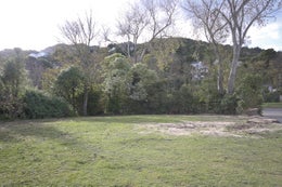 411678_1.jpg