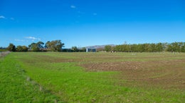 4130518_1.jpg
