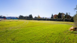 4131915_1.jpg
