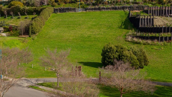 4132774_3.jpg