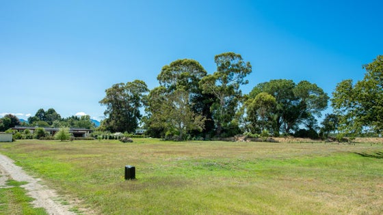 4133637_3.jpg