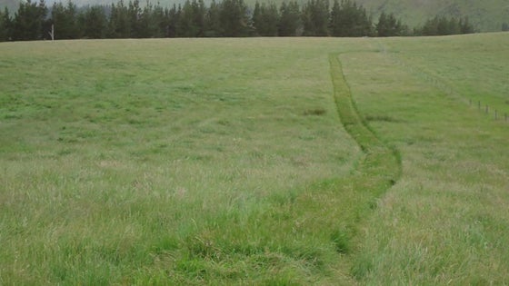 4150016_2.jpg
