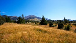 4150078_1.jpg