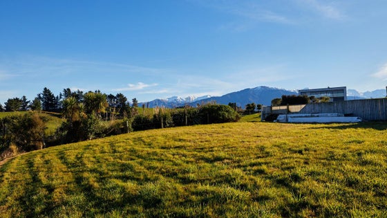 4150177_2.jpg