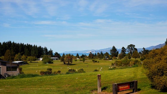 4150183_2.jpg