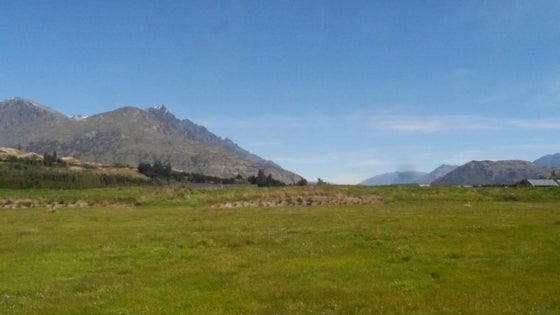 4480075_3.jpg
