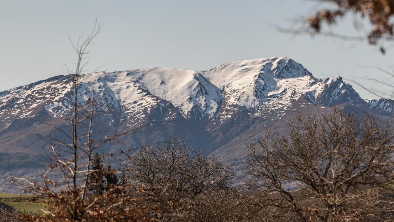 4481855_29.jpg