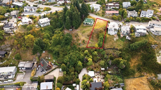 4483132_3.jpg