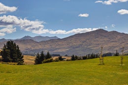 4484060_1.jpg
