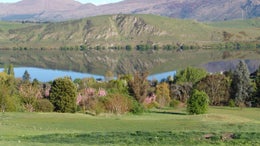 4500274_1.jpg