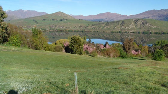4500274_3.jpg