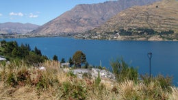 4500316_1.jpg