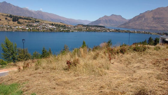 4500316_3.jpg