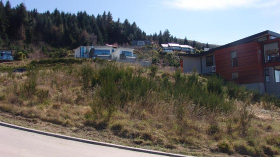 4500516_2.jpg