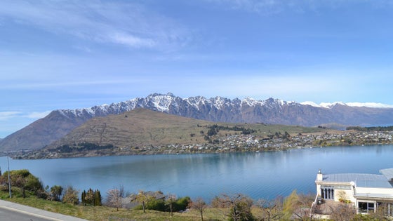 4500761_2.jpg