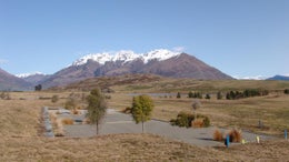 4501097_1.jpg
