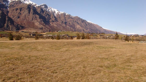 4501097_2.jpg