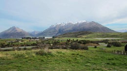 4501115_1.jpg