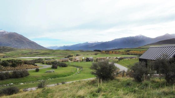 4501115_2.jpg