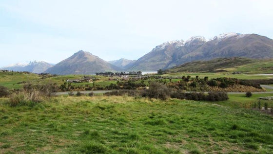 4501115_3.jpg
