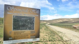 4520097_1.jpg