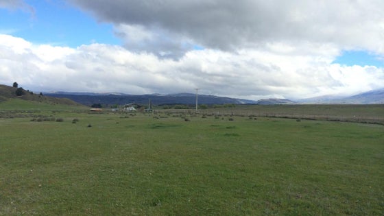 4520097_3.jpg