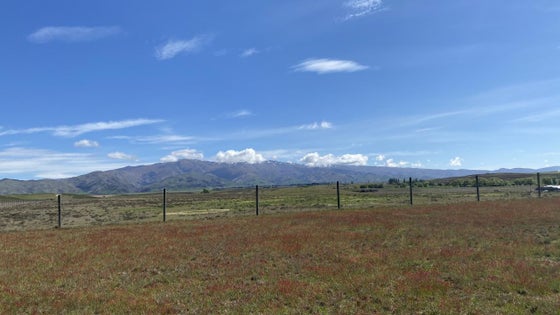 4520651_3.jpg
