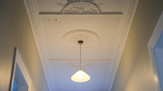 4600604_2.jpg