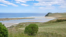 4600818_1.jpg